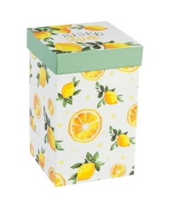 Evergreen Flag Ceramic Travel Cup, 17 OZ. ,w/box and Tritan Lid, Lemon Drop Collection -Water Bottles Sales unnamed file 2643