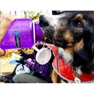 Nalgene 32oz Wide Mouth Water Bottle Gray 3 Nalgene 32oz Wide Mouth Water Bottle Gray