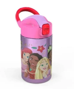 Disney Princess 14oz Stainless Steel Double Wall Valiant Bottle - Zak Designs