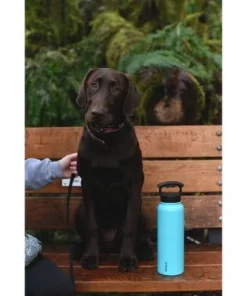 FIFTY/FIFTY 40oz Bottle with 3-Finger Grip Cap Winter White -Water Bottles Sales unnamed file 4995