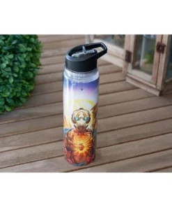Just Funky Borderlands 3 Psycho Bandit 17oz Double Wall Water Bottle -Water Bottles Sales unnamed file 5006