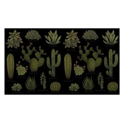 Lost Gods Botanical Cactus Stainless Steel Water Bottle 3 Lost Gods Botanical Cactus Stainless Steel Water Bottle